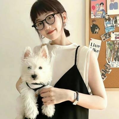 宝石宠物电影 甜品舞公主